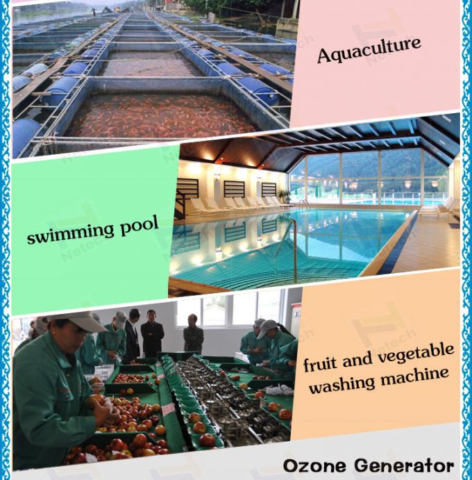 40g - großes Ozon-Wassersystem Generator des Ozons 100g für Aquakultur
