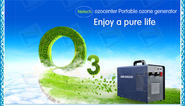CE 3g / Hr 5g / Hr Home Car Odor Free Ozone Machine High Efficiency
