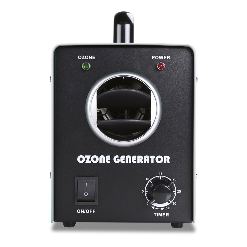 Portable Ozone Generator Machine 3G/H Air Treatment 110V 220V For Household Sterilization